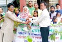 শিক্ষার্থীদের মাঝে গ্রীন রোড শো’র চারা বিতরণ ও বৃক্ষরোপণ